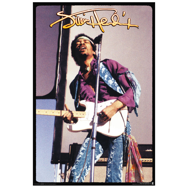 Jimi Hendrix Newport 1969 Poster